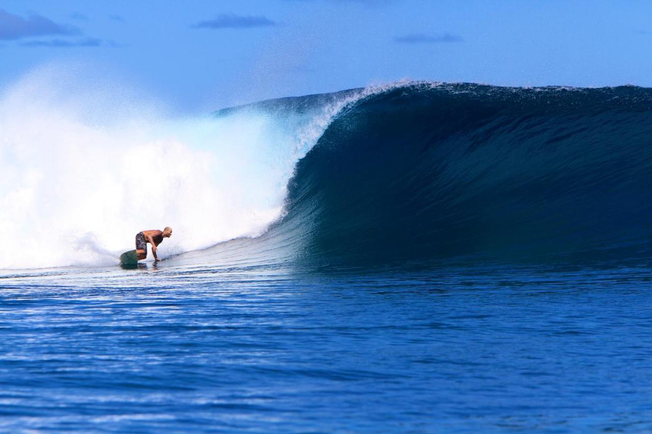 Puri Asu Resort Palau Asu 部屋 写真